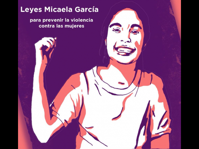 Ley Micaela García 