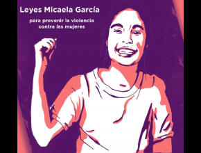 Ley Micaela García 